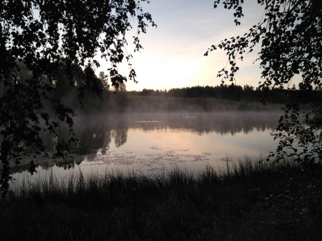 Szwedzka natura