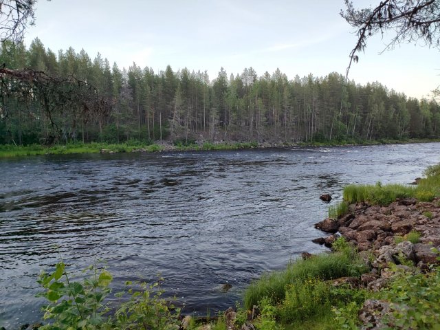 szwedzka natura